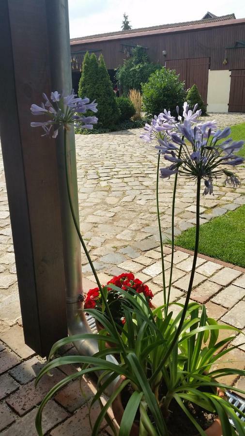 Ferienwohnungen Dirk Laurisch Radensdorf Εξωτερικό φωτογραφία